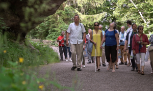 Des pèlerins de Voir Ensemble au Mont-Saint-Odile