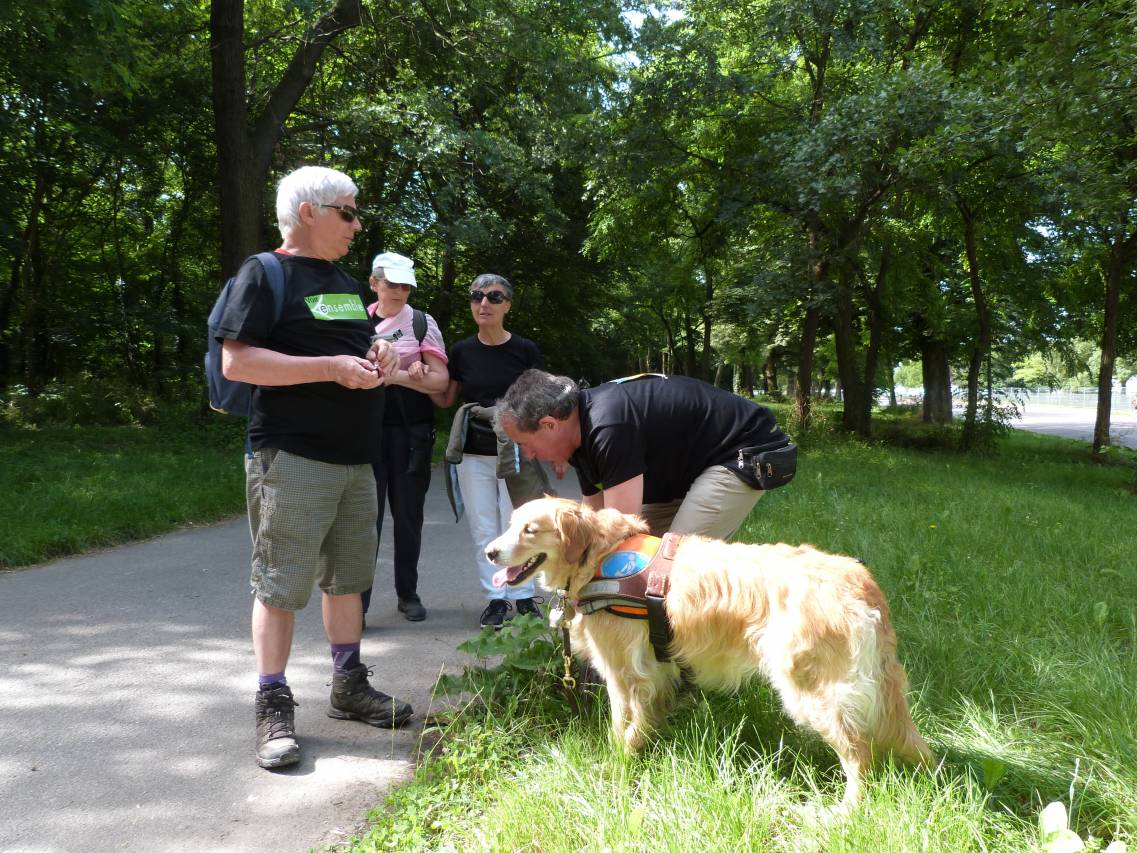 Photo d'adhérents de Voir Ensemble avec un chien guide lors de la journée Sport Ensemble de Handicap international au Bois de Boulogne