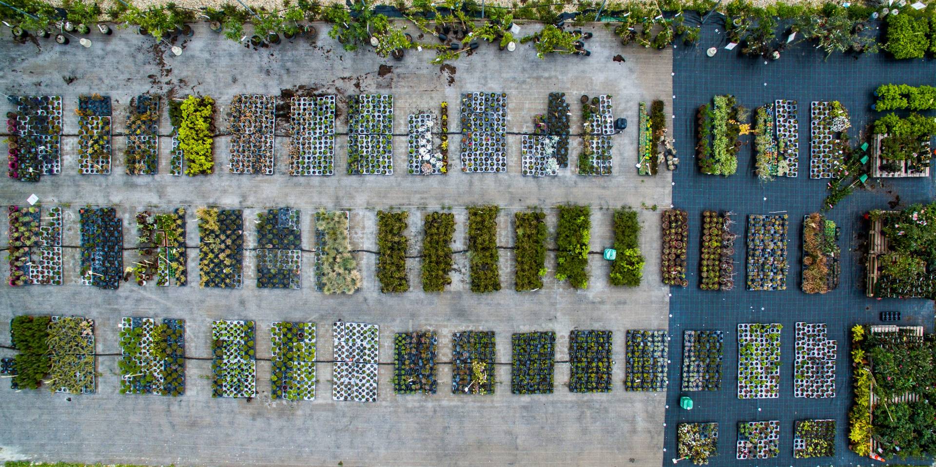 Vue aérienne des plantations horticoles de notre ESAT domaine du Puch